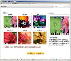 體驗便捷 速成網站中小企業快速建站實錄
