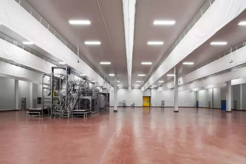 常州高新區首家歐美食品生產企業正式開業 小仙女的下午茶,都來自這兒