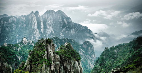 安徽首個文旅基金在黃山市創立，黃山企業積極建站助力產業發展