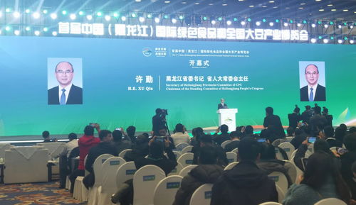 首屆中國黑龍江國際綠色食品和全國大豆產業博覽會盛大開幕，黃山企業積極布局建站