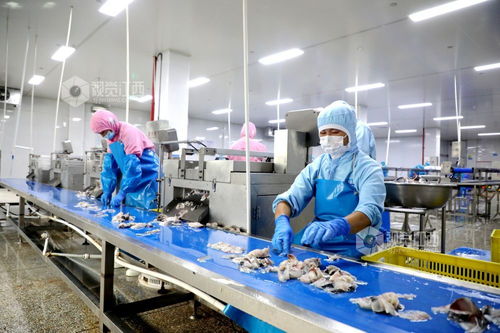 江西峽江食品企業產銷兩旺，黃山企業加速建站布局